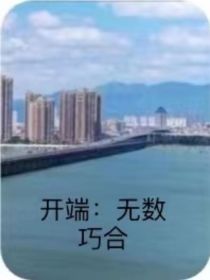 开端小说字数_开端：无数巧合