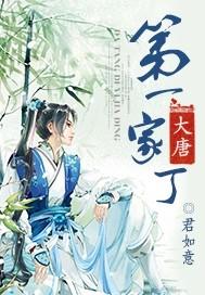 [小说]《大唐第一家丁》全集  作者：君如意 当穿越落实在自己身上时，贾一才清晰的认识到。主角光环就是个笑话_大唐第一家丁