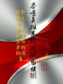 男主女主是任龙,郑艺容,张凌宇的小说是什么_吞噬英雄系统之银色旗帜