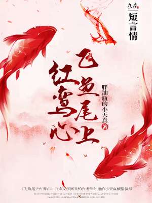 男主女主是慈月庵,左游,穆青梓的小说是什么_飞鱼尾上红鸾心