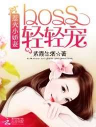 男主女主是胡安瑾,安佳琪,时宇的小说是什么_惹火小娇妻：BOSS，轻轻宠