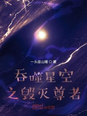 男主女主是杨毅,罗峰,杨辉的小说是什么_吞噬星空之毁灭尊者
