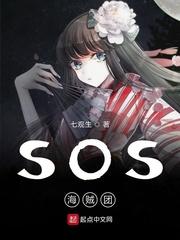 小说《SOS海贼团》TXT下载_SOS海贼团