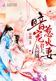 小说《暗宠惹火妻：君上，太闷骚》TXT百度云_暗宠惹火妻：君上，太闷骚