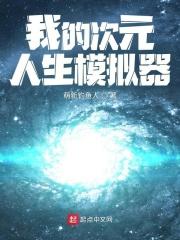 江枫罗杰《我的次元人生模拟器》_我的次元人生模拟器