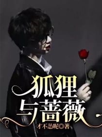 男主女主是丁程鑫,贺峻霖,马嘉祺的小说是什么_狐狸与蔷薇