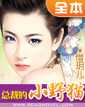 男主女主是成可欣,南铭伟,李司琪的小说是什么_总裁的小野猫
