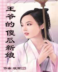 男主女主是宇文,叶云峰,云儿的小说是什么_王爷的傻瓜新娘