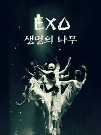 小说《EXO之爱恨交织》TXT百度云_EXO之爱恨交织