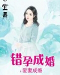 错孕成婚爱妻成瘾小说_错孕成婚，爱妻成瘾