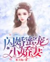 小说《闪婚蜜宠小娇妻》TXT百度云_闪婚蜜宠小娇妻