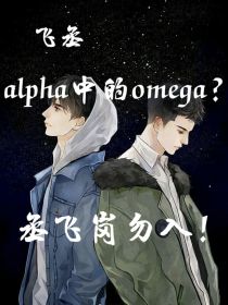 alpha中的omega小说_飞丞—alpha中的omega？