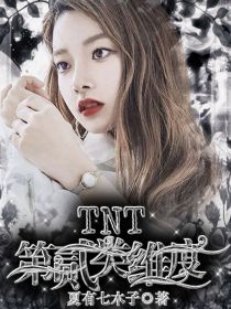 小说《TNT：第二类维度》TXT百度云_TNT：第二类维度