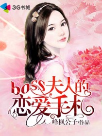 小说《boss夫人的恋爱手札》TXT百度云_boss夫人的恋爱手札