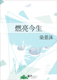 枫江市跨江大桥被两端封锁，打捞救援队在腊月寒冷漆黑的江水中探了又探，一无所获。媒体推断夏禹坠江的时间_把爱豆撩成了我的粉