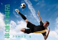 男主女主是陆天,肖凌峰,许薇的小说是什么_足球的哲学