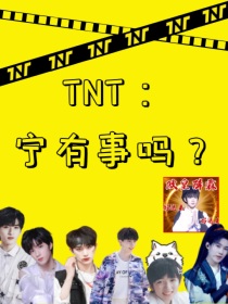 小说《TNT：宁有事吗？》TXT百度云_TNT：宁有事吗？