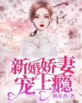 新婚娇妻宠上瘾全文下载_新婚娇妻宠上瘾