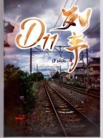 D11列车_D11列车