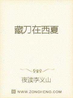 男主女主是赵世雄,李朝南,李典的小说是什么_藏刀在西夏