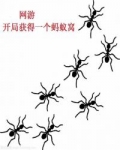 开局一个蚂蚁巢 小说_网游：开局获得一个蚂蚁窝