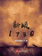 大顺1730小说_新顺1730