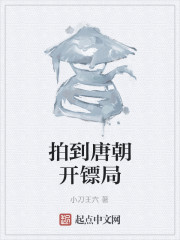 男主女主是杨子宁,柴沛光,子宁的小说是什么_拍到唐朝开镖局