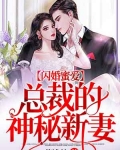 闪婚蜜爱总裁的新妻_闪婚蜜爱：总裁的神秘新妻