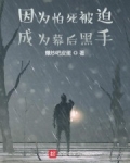 男主女主是陈平,方文杰,刘雨的小说是什么_因为怕死被迫成为幕后黑手