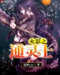 在火之国通往雷之国的路上，7个身影正在迅速的前进着。“火20大人，我们休息一下吧，已经前进挺久了，我_火影之通灵士