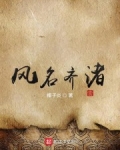 男主女主是孙二旺,耶律纳仁,张林的小说是什么_风名齐渚