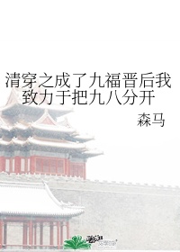 宝音康熙《清穿之成了九福晋后我致力于把九八分开》_清穿之成了九福晋后我致力于把九八分开