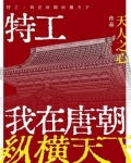 王兴国凌菲《特工：我在唐朝纵横天下》_特工：我在唐朝纵横天下