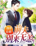 蚀骨婚情前夫别来无恙_蚀骨危婚：前夫别来无恙