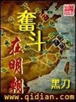 老刀我回来了，掌声在哪里？恩，直入正题。本书的书名是《贵族之路》，本来想起《贵族》的，可这个名字被人_奋斗在明朝