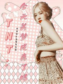 小说《TNT：今天美梦成真了吗》TXT百度云_TNT：今天美梦成真了吗