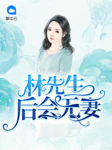 小说《林先生，后会无妻》TXT下载_许眉间林照亭