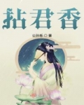 男主女主是叶玖,蓝熙,宇文的小说是什么_拈君香