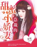 男主女主是陆锦崇,付晓敏,杜云帆的小说是什么_总裁的甜蜜小娇妻