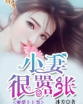 小说《角夏曦江连城》TXT下载_蜜爱上上签：小妻，很嚣张