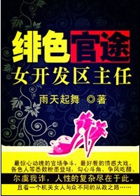 官场小说女开发区主任_绯色官途：女开发区主任