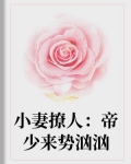 男主女主是聂凯瑶,沈寒墨,刘琪的小说是什么_小妻撩人：帝少来势汹汹