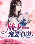 小说《暖婚蜜爱：陆少宠妻有道》TXT下载_暖婚蜜爱：陆少宠妻有道