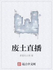 男主女主是薛岩,王天华,周辉的小说是什么_废土直播