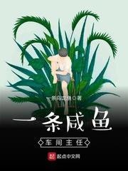 男主女主是李辉,陈鑫,陈曦的小说是什么_不上又不下