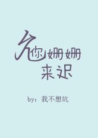 男主女主是沈斯泽,林寒,徐心怡的小说是什么_允你姗姗来迟