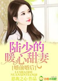 男主女主是陆宇铭,陈筱,顾深朗的小说是什么_婚前婚后，陆少的暖心甜妻