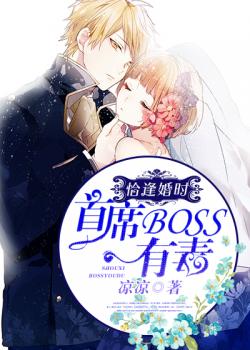 小说《恰逢婚时：首席boss有毒》TXT百度云_恰逢婚时：首席boss有毒