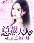 男主女主是傅诗安,贺明轩,苏慕言的小说是什么_总裁大人的追妻计划