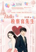 小说《Hello，检察官先生》TXT百度云_Hello，检察官先生